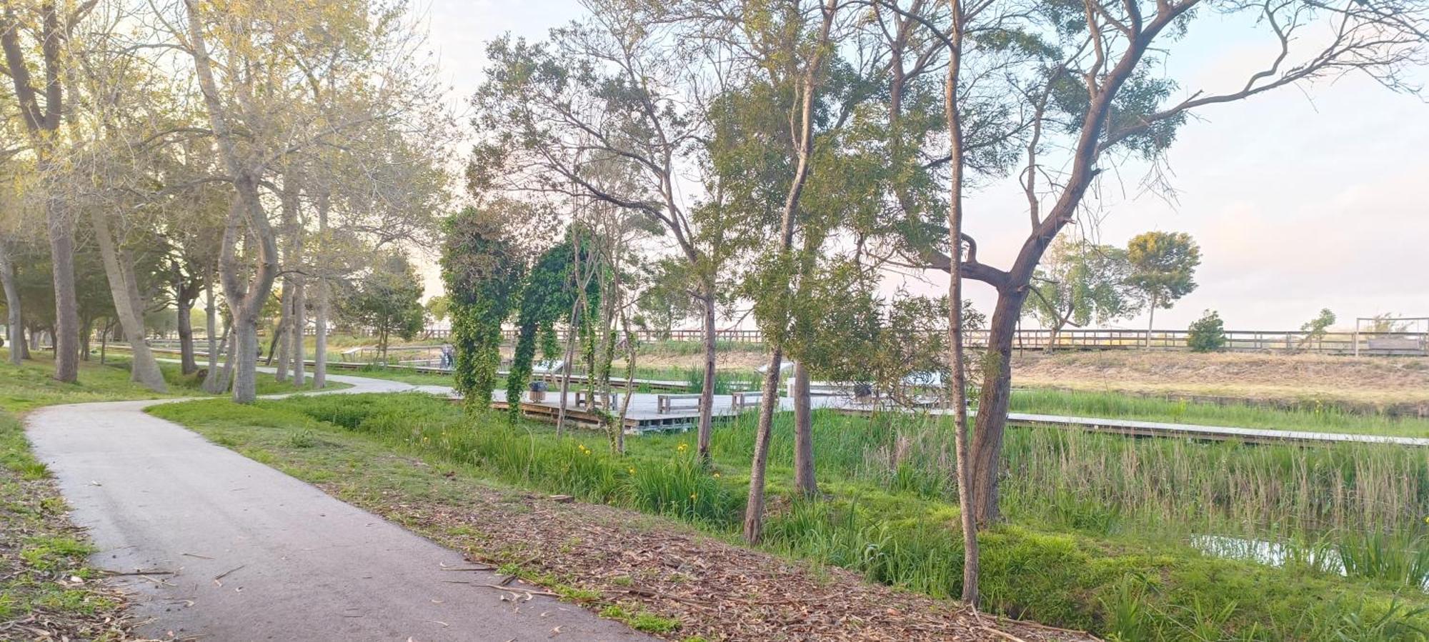 Casas Da Barra Villa Praia de Mira Kültér fotó
