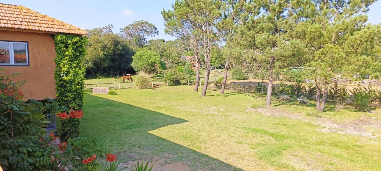 Casas Da Barra Villa Praia de Mira Kültér fotó