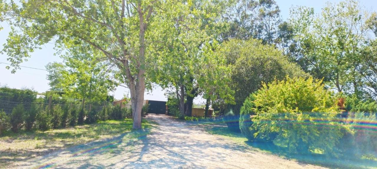 Casas Da Barra Villa Praia de Mira Kültér fotó
