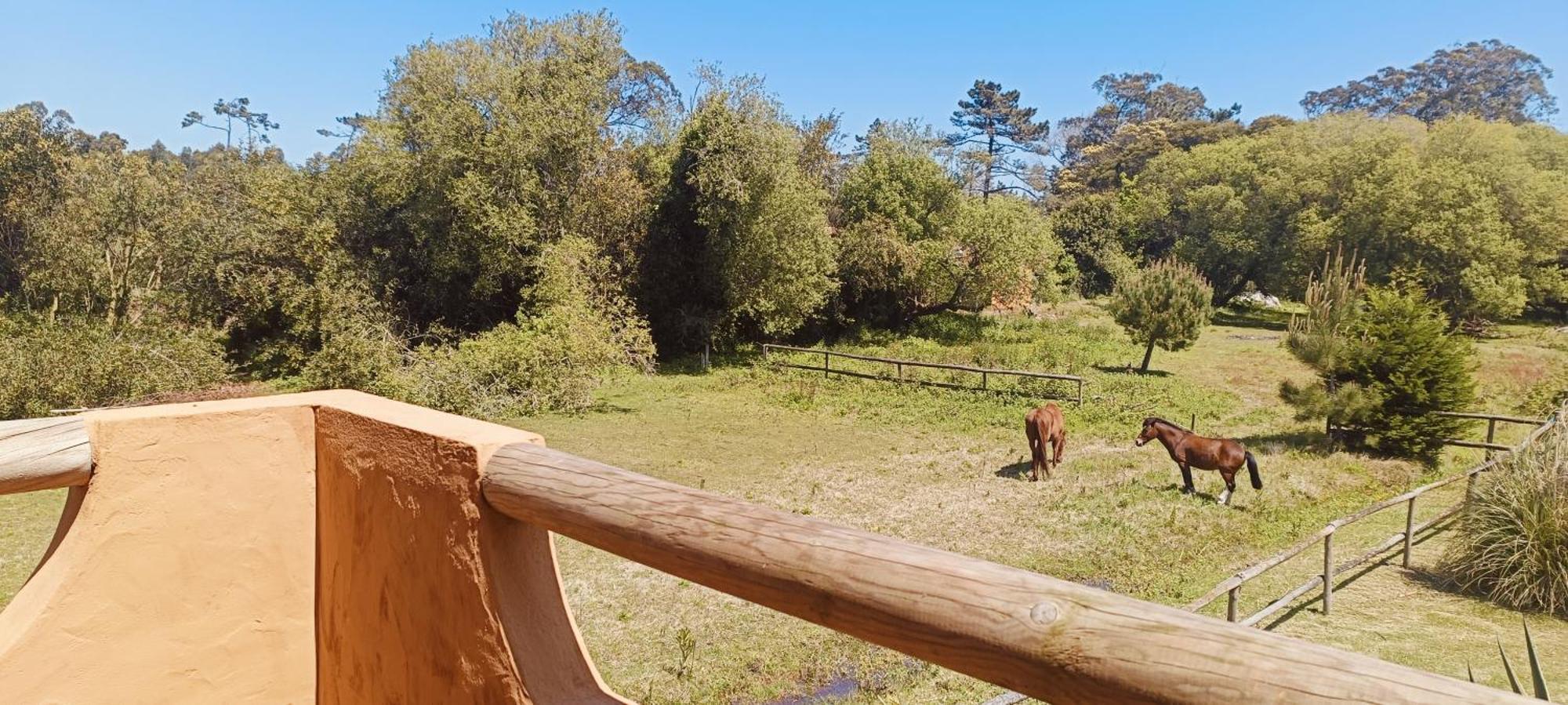 Casas Da Barra Villa Praia de Mira Szoba fotó